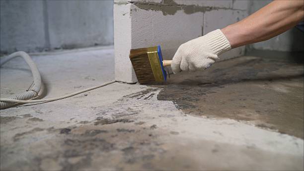 SJ Waterproofing Pros Waterproofing coverage map for Eaton Rapids, MI and surrounding area